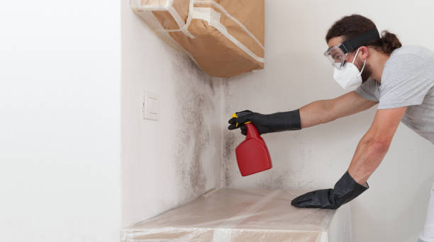 Professional Mold Remediation technician working in Estero, FL